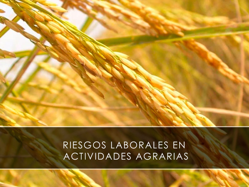 riesgos laborales en actividades agrarias