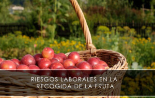 Riesgos laborales en la recogida de la fruta