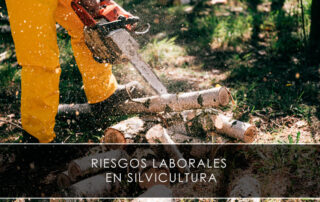 Riesgos laborales en silvicultura - Novagés