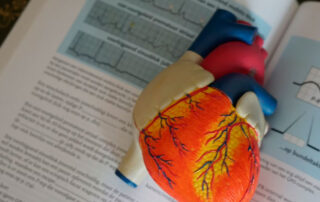 Salud cardiovascular en el ámbito laboral - Novagés