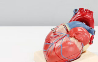 Nuevo Plan de Prevención de Salud Vascular de Madrid - Novagés